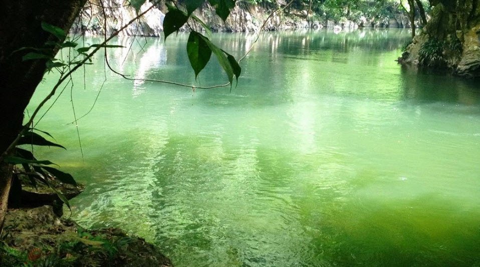 Rio Claro Nature Reserve, Antioquia Department, Colombia